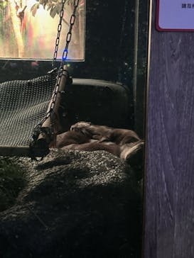 サンシャイン水族館に投稿された画像（2023/9/19）