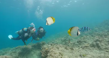 武藤潜水に投稿された画像（2023/9/18）