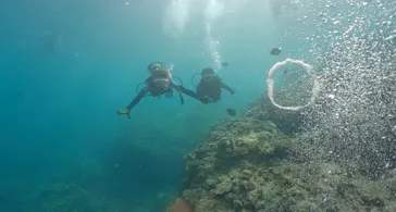 武藤潜水に投稿された画像（2023/9/18）