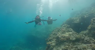 武藤潜水に投稿された画像（2023/9/18）