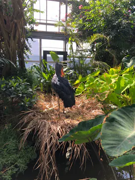 神戸どうぶつ王国に投稿された画像（2023/9/19）