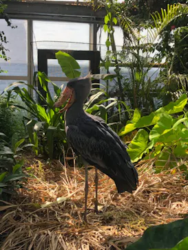 神戸どうぶつ王国に投稿された画像（2023/9/19）