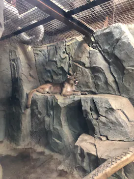 神戸どうぶつ王国に投稿された画像（2023/9/19）