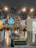 福井県立恐竜博物館に投稿された画像（2023/9/20）
