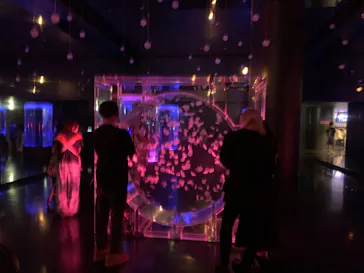 マクセル アクアパーク品川に投稿された画像（2023/9/19）