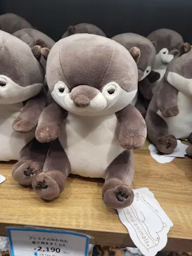 マクセル アクアパーク品川に投稿された画像（2023/9/19）