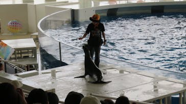 アクアワールド茨城県大洗水族館に投稿された画像（2023/9/19）