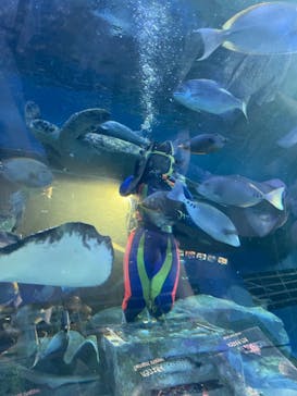 しながわ水族館に投稿された画像（2023/9/19）