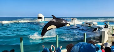 鴨川シーワールドに投稿された画像（2023/9/20）