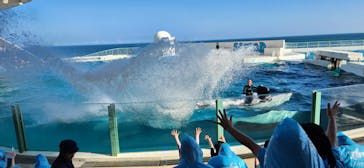 鴨川シーワールドに投稿された画像（2023/9/20）