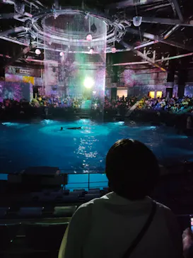 マクセル アクアパーク品川に投稿された画像（2023/9/20）