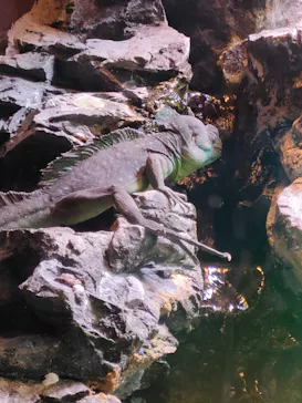 マクセル アクアパーク品川に投稿された画像（2023/9/20）