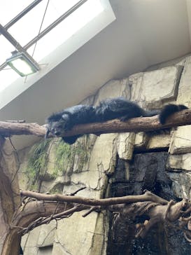 那須どうぶつ王国に投稿された画像（2023/9/20）