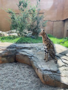 那須どうぶつ王国に投稿された画像（2023/9/20）