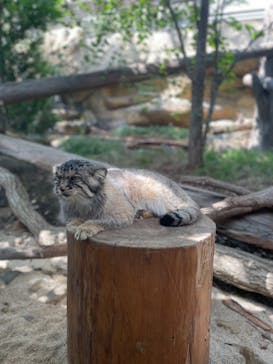 那須どうぶつ王国に投稿された画像（2023/9/20）