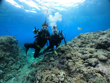 武藤潜水に投稿された画像（2023/9/20）