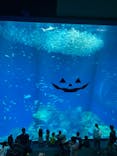 アクアワールド茨城県大洗水族館に投稿された画像（2023/9/20）