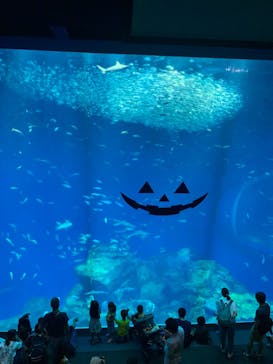 アクアワールド茨城県大洗水族館に投稿された画像（2023/9/20）
