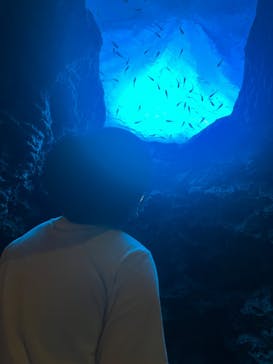 鴨川シーワールドに投稿された画像（2023/9/20）