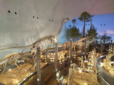 福井県立恐竜博物館に投稿された画像（2023/9/20）