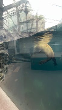 環境水族館アクアマリンふくしまに投稿された画像（2023/9/20）