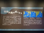 特別展「海　―生命のみなもと―」（国立科学博物館）に投稿された画像（2023/9/20）