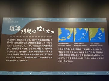 特別展「海　―生命のみなもと―」（国立科学博物館）に投稿された画像（2023/9/20）