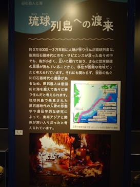 特別展「海　―生命のみなもと―」（国立科学博物館）に投稿された画像（2023/9/20）