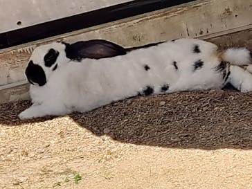 NESTA RESORT KOBE（ネスタリゾート神戸）に投稿された画像（2023/9/20）