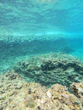 沖縄マリンサービス碧に投稿された画像（2023/9/20）