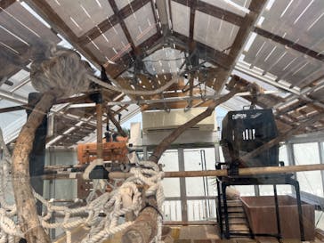 大分マリーンパレス水族館 「うみたまご」に投稿された画像（2023/9/20）