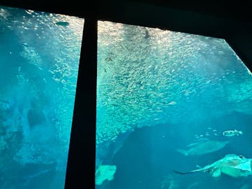 マリンワールド海の中道に投稿された画像（2023/9/20）