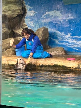 マリンワールド海の中道に投稿された画像（2023/9/20）