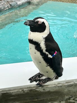 マリンワールド海の中道に投稿された画像（2023/9/20）