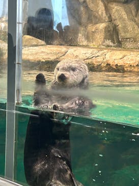マリンワールド海の中道に投稿された画像（2023/9/20）