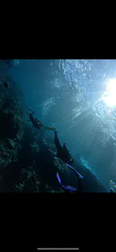 武藤潜水に投稿された画像（2023/9/20）