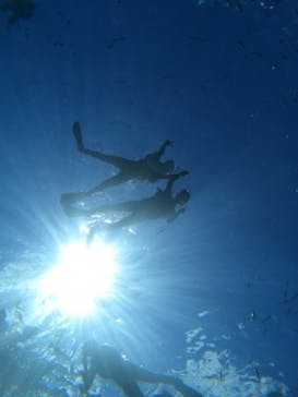 沖縄マリンサービス碧に投稿された画像（2023/9/20）