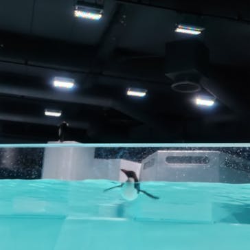 AOAO SAPPOROに投稿された画像（2023/9/20）