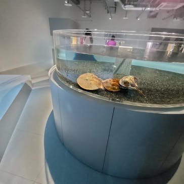 AOAO SAPPOROに投稿された画像（2023/9/20）