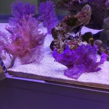 AOAO SAPPOROに投稿された画像（2023/9/20）