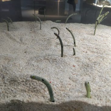 AOAO SAPPOROに投稿された画像（2023/9/20）