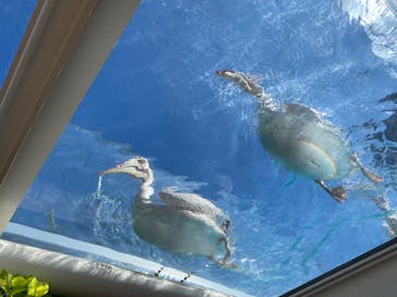 サンシャイン水族館に投稿された画像（2023/9/20）
