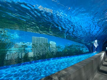 サンシャイン水族館に投稿された画像（2023/9/20）