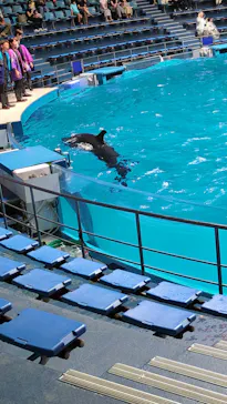 マクセル アクアパーク品川に投稿された画像（2023/9/20）