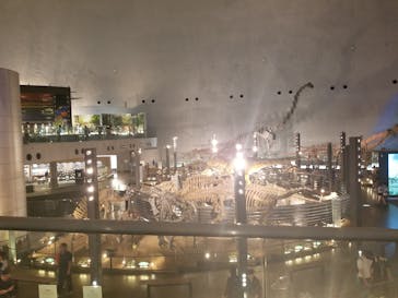 福井県立恐竜博物館に投稿された画像（2023/9/20）