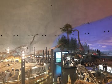 福井県立恐竜博物館に投稿された画像（2023/9/20）