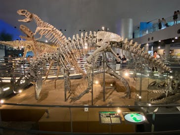 福井県立恐竜博物館に投稿された画像（2023/9/20）