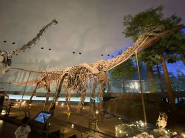 福井県立恐竜博物館に投稿された画像（2023/9/20）