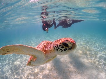 CHAMP TOUR　宮古島に投稿された画像（2023/9/20）