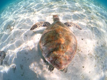 CHAMP TOUR　宮古島に投稿された画像（2023/9/20）